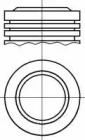 WILMINK GROUP wg1175349 -